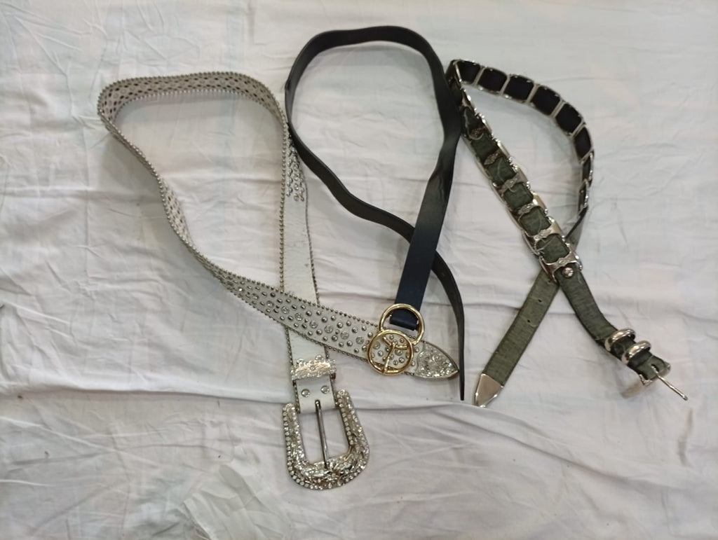 CR12550 Y2K Belts