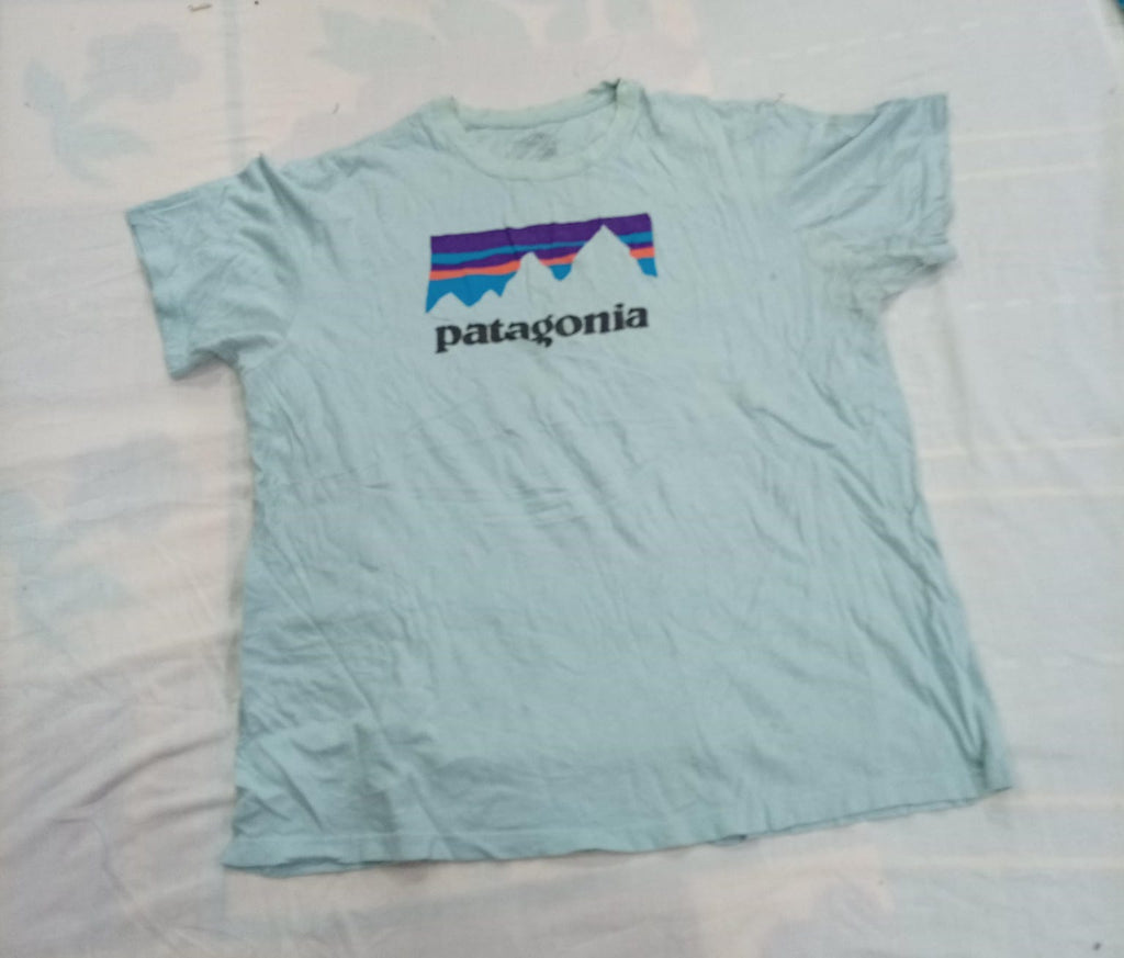 CR13174 Vintage Patagonia T-Shirts and Shorts