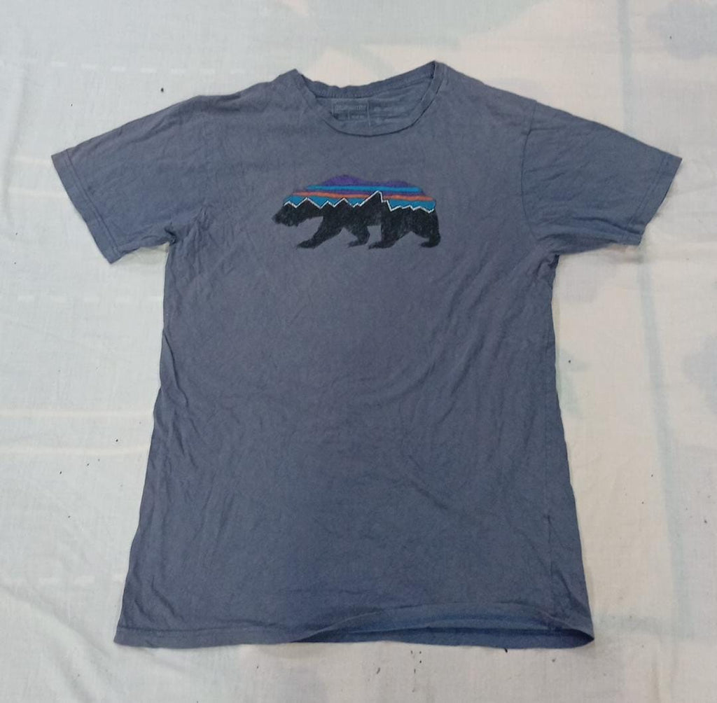 CR13134 Vintage Patagonia T-Shirts