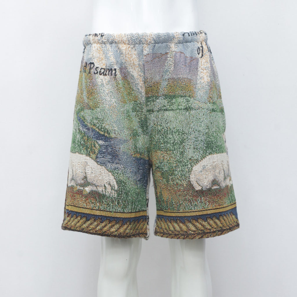 Reworked Tapestry Shorts