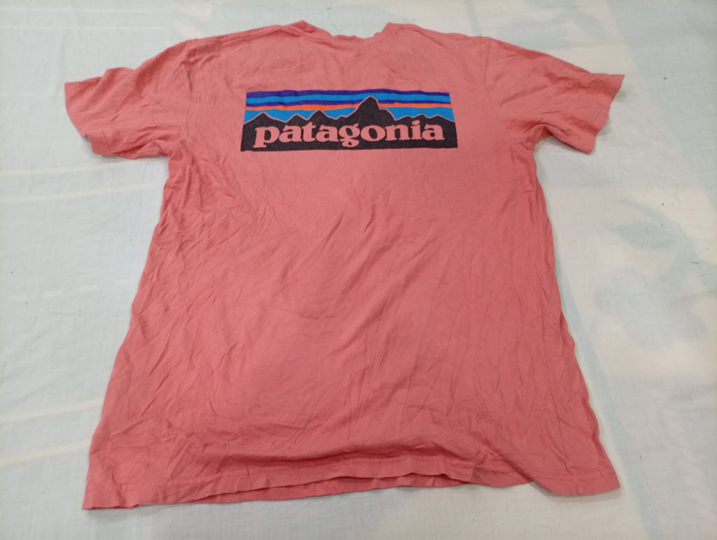 Vintage Patagonia Shorts And T-Shirts in mixed sizes and colours, Grade A/B/C.