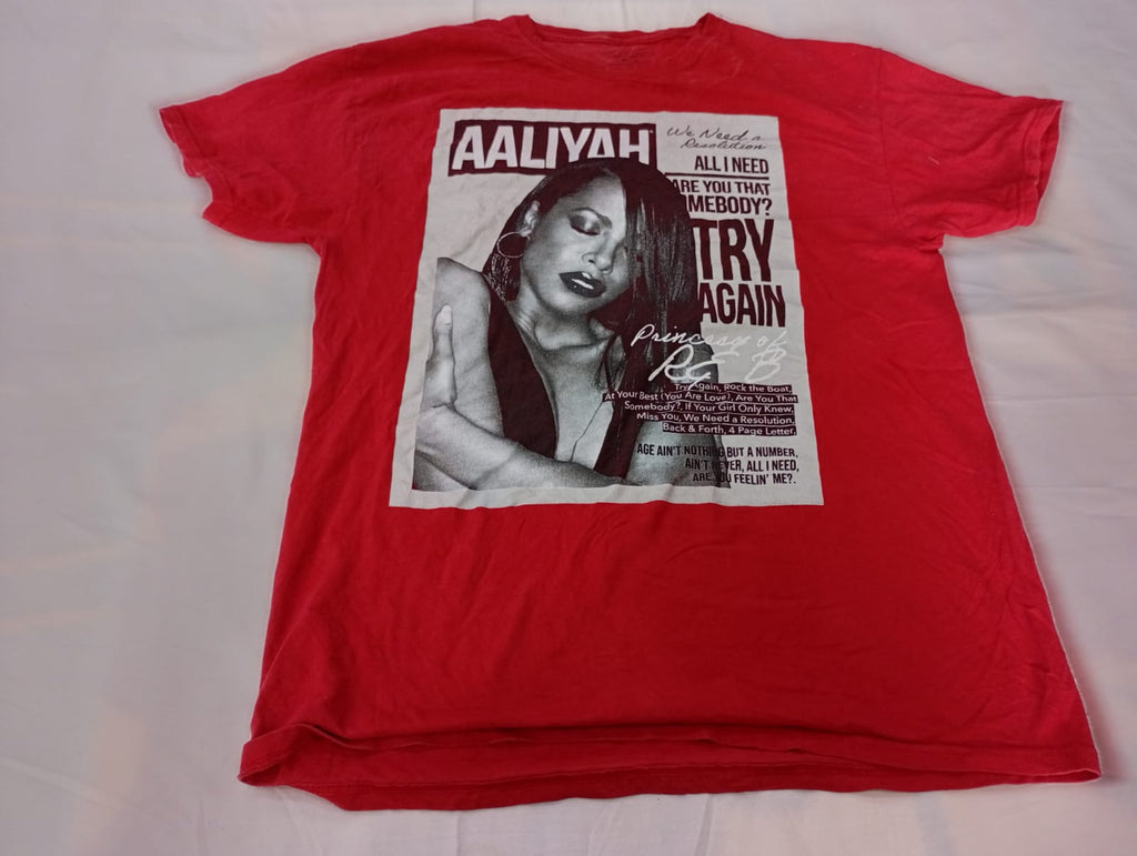 Vintage Music T-Shirts Bundle in mixed sizes and colours. Grade B/C.