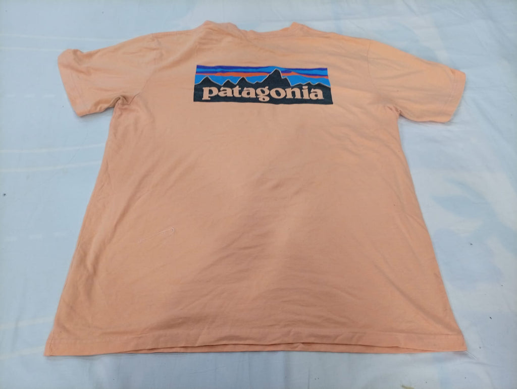 Vintage Patagonia Shorts and T-Shirts Bundle in mixed sizes and colours. Grade A/B/C. 