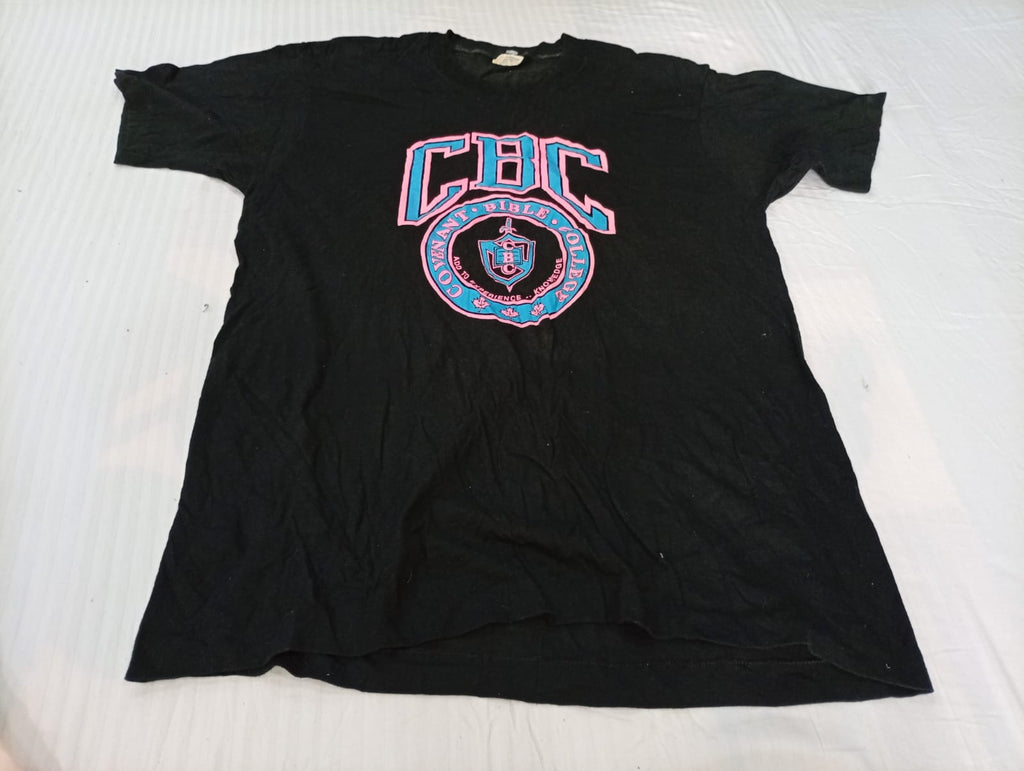 Vintage Single Stitch T-Shirts Bundle in mixed sizes and colours, Grade B/C.