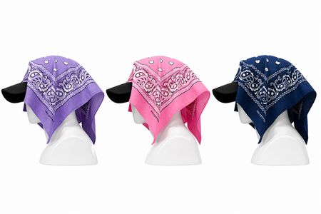 CR2103 Upcycled Bandana Cap