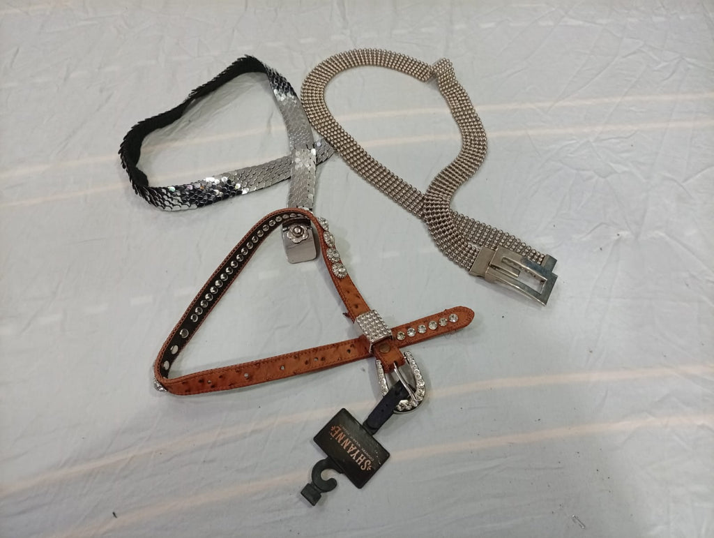 CR10934 Y2K Belts